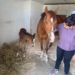 Barumbara Gospodarstwo wiejskie Sannat