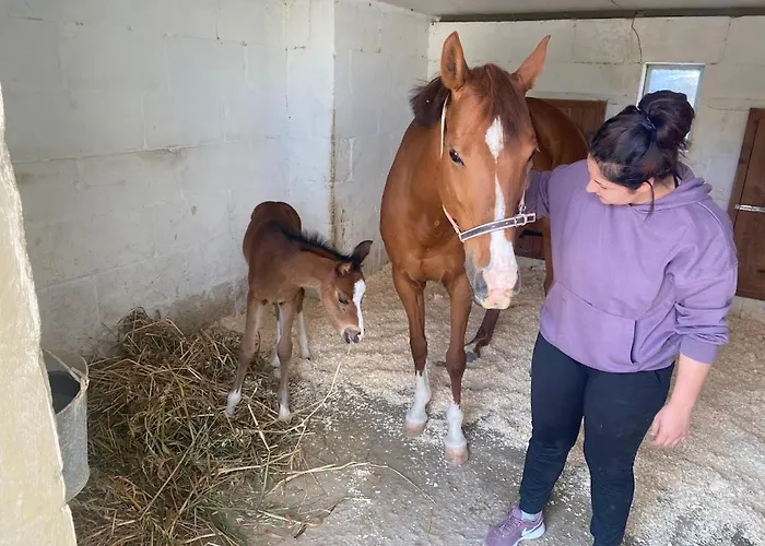 Barumbara Hétvégi ház Sannat